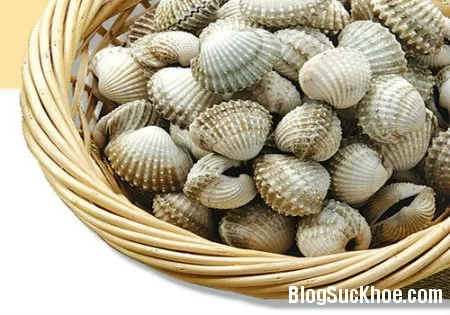 8 món ăn bổ dưỡng từ sò huyết chữa bệnh