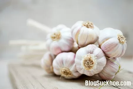 Các bài thuốc chữa bệnh từ tỏi