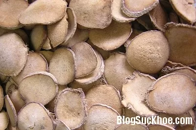 Công dụng và bài thuốc chữa bệnh từ cây trạch tả