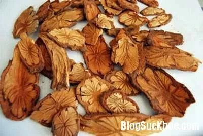 Bài thuốc chữa đau đầu khi hành kinh