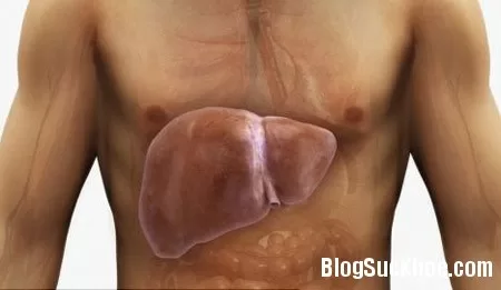 Triệu chứng lâm sàn bệnh gan nhiễm mỡ