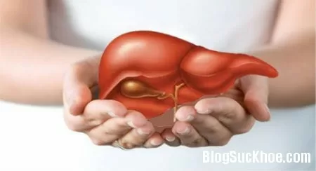 Một số triệu chứng gan bị tổn thương