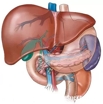 7 cách đẩy lùi bệnh gan nhiễm mỡ