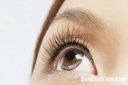 Những cách trị bệnh quáng gà