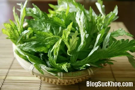 Một số bài thuốc uống giúp cải thiện, ngăn ngừa nám và sạm da