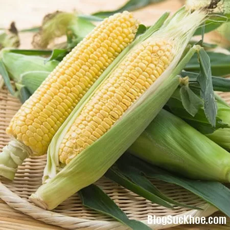 Dùng ngô làm thuốc chữa bệnh gan nhiễm mỡ