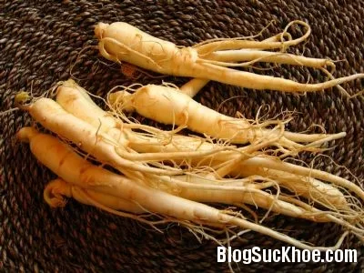 Những tác dụng kỳ diệu chưa được biết đến của nhân sâm