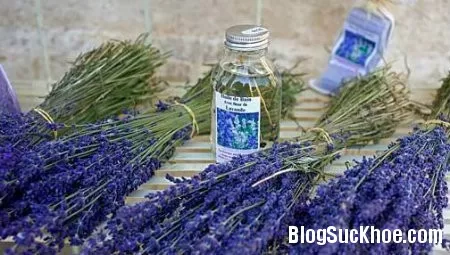7 biện pháp tự nhiên giúp chị em phòng chống nấm candida
