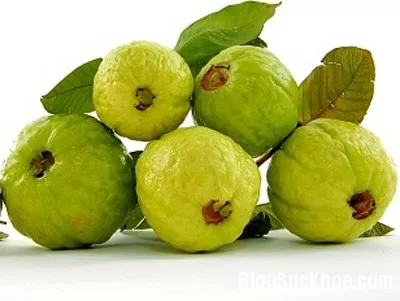 Bài thuốc chữa bệnh tiêu hóa từ ổi