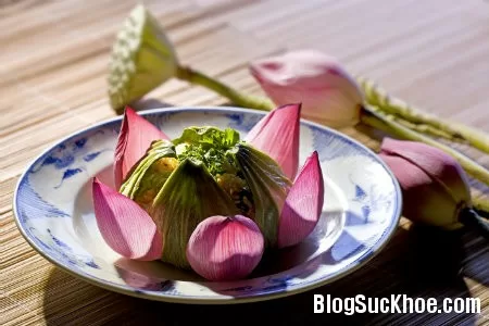 Điều kỳ diệu chữa bệnh từ cây sen