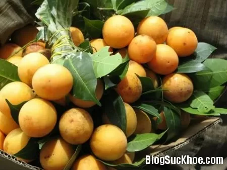 7 loại hoa quả giúp tiêu mỡ, giảm cân
