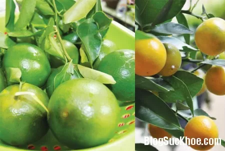Ăn uống làm ấm cơ thể