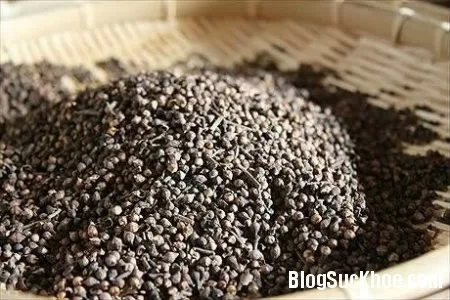 Xử lý ngộ độc thực phẩm bằng than hoạt tính