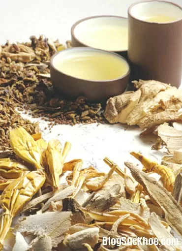 Các bài thuốc hay chữa kinh nguyệt không đều