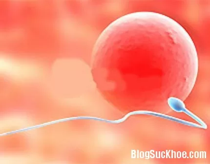 Khám phá bí mật tinh trùng
