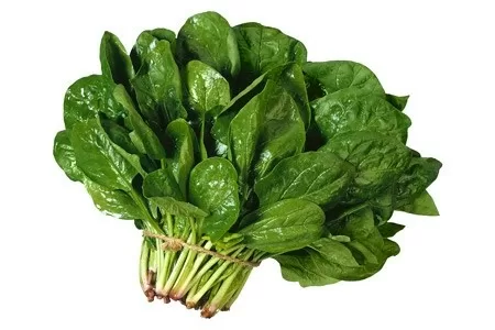 6 lợi ích tuyệt vời khi ăn cải bó xôi