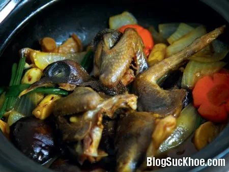 Bài thuốc chữa bệnh từ chim cút