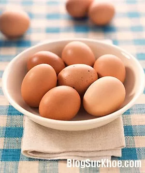 Các loại trứng nên ăn tốt cho sức khỏe