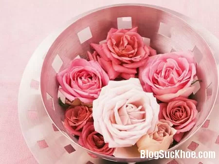 5 lợi ích của nước hoa hồng bạn nên biết