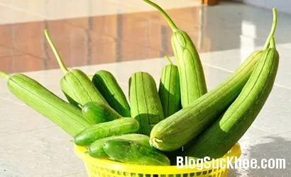 Chữa bệnh từ mướp