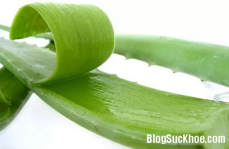Bí quyết làm đẹp tóc với lô hội