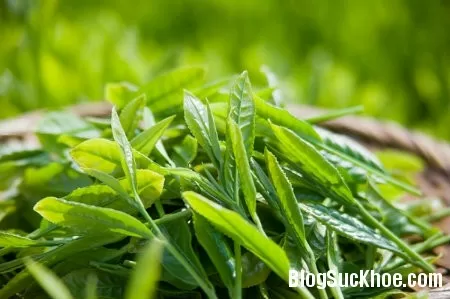 Những trường hợp nào không nên uống nhiều trà?