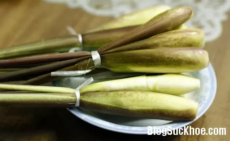 Bài thuốc giảm huyết áp từ củ niễng