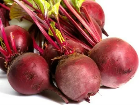 Nhiều lợi ích khác từ củ dền
