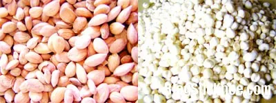 Bài thuốc chữa bệnh hen suyễn