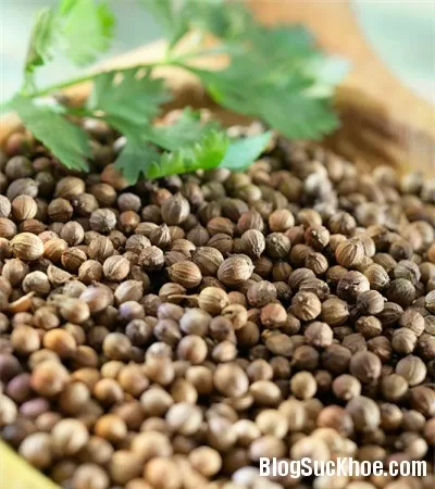 Khám phá những công dụng chữa bệnh của hạt mùi