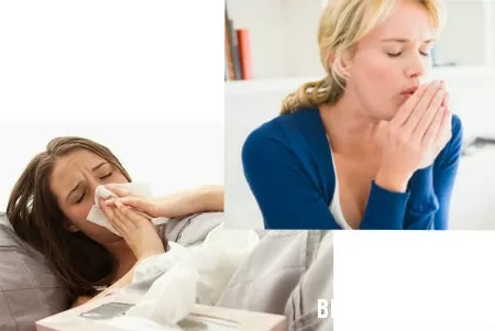 Mẹo chữa ho bằng thảo dược