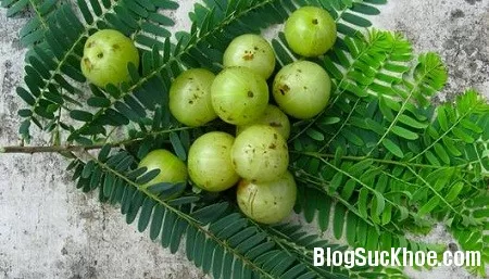 Vài phương thuốc chữa bệnh tiêu biểu từ me rừng