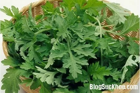 Bài thuốc hỗ trợ điều trị viêm bàng quang