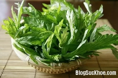 3 tác hại đáng sợ của ngải cứu
