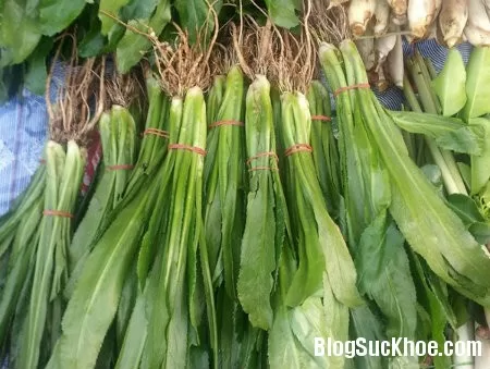Bài thuốc trị chứng đầy hơi, ăn không tiêu
