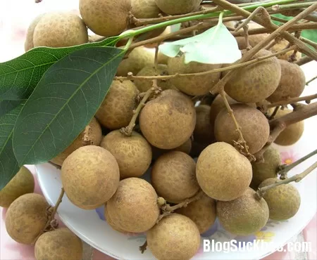 Ăn nhãn có nhiều tác dụng tốt cho sức khỏe