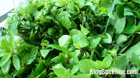 Khắc phục hôi miệng bằng những biện pháp đơn giản