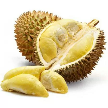 Lợi ích và công dụng tuyệt vời từ sầu riêng