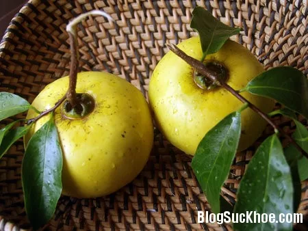 Bài thuốc hay trị nám da, mụn trứng cá