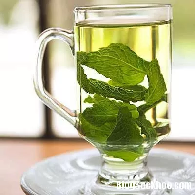 Công dụng tuyệt vời từ trà bạc hà