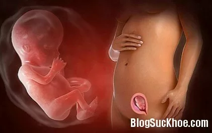 Cách khắc phục tình trạng thiếu ối ở bà bầu