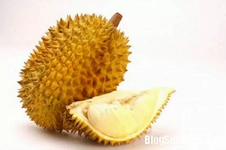 Cây sầu riêng làm thuốc chữa bệnh