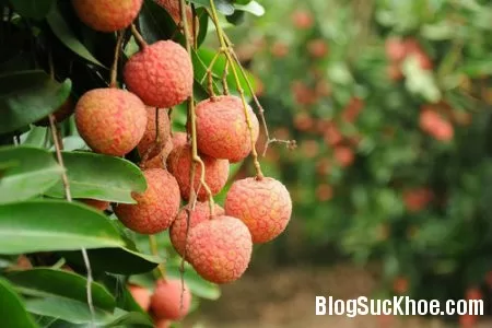 8 loại quả mẹ bầu nên ăn trong thai kỳ