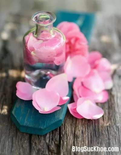 Bí quyết chọn toner