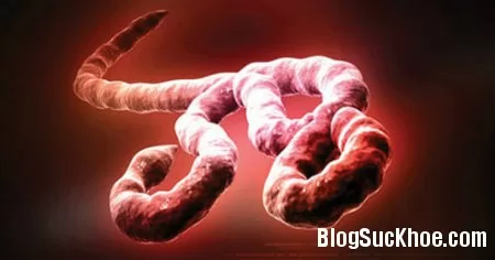Cảnh giác với dịch bệnh Ebola