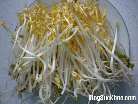 Giá trị dinh dưỡng từ giá đỗ