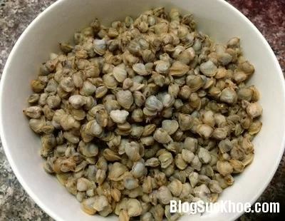 Hến - Thức ăn bổ dưỡng, một loại thuốc hay