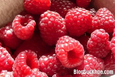 5 ích lợi từ quả mâm xôi