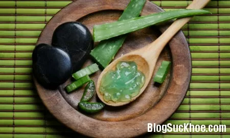 Tác dụng hỗ trợ giảm cân từ lô hội