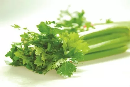 Công dụng chữa bệnh của cần tây và cần ta
